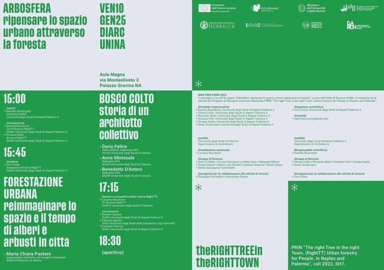 WhatsApp Image 2026-04-10 at 11.04.17 (2)